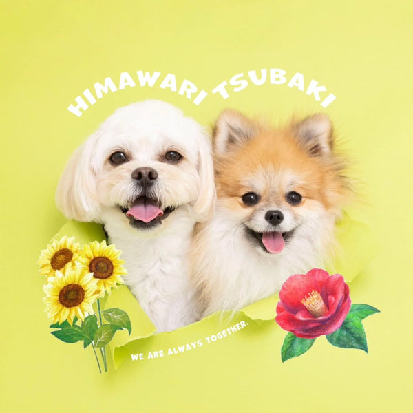 ひまわり＆つばき