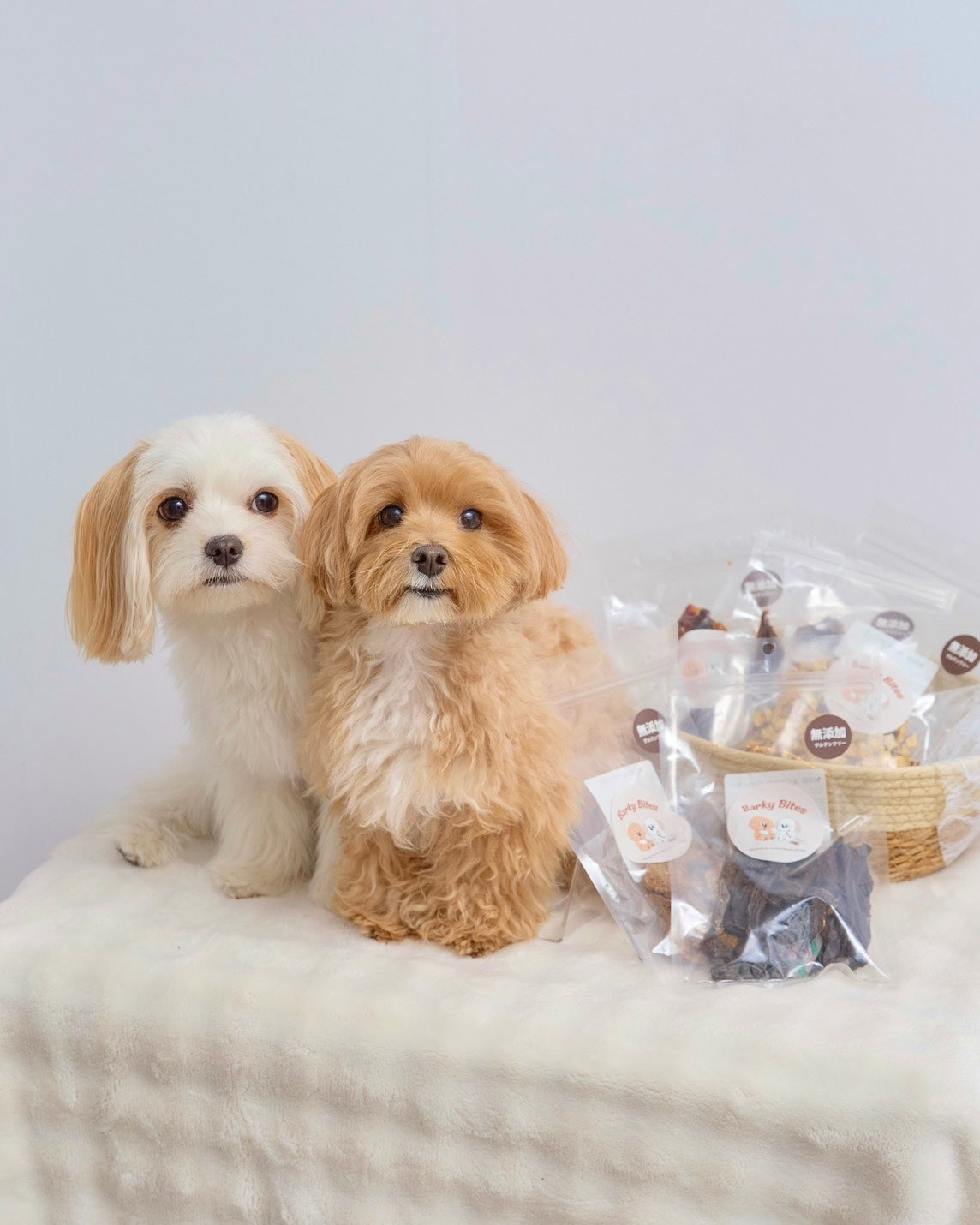 Barky Bites トリーツ 5点セット【先着50名にオリジナルおやつ缶プレゼント】